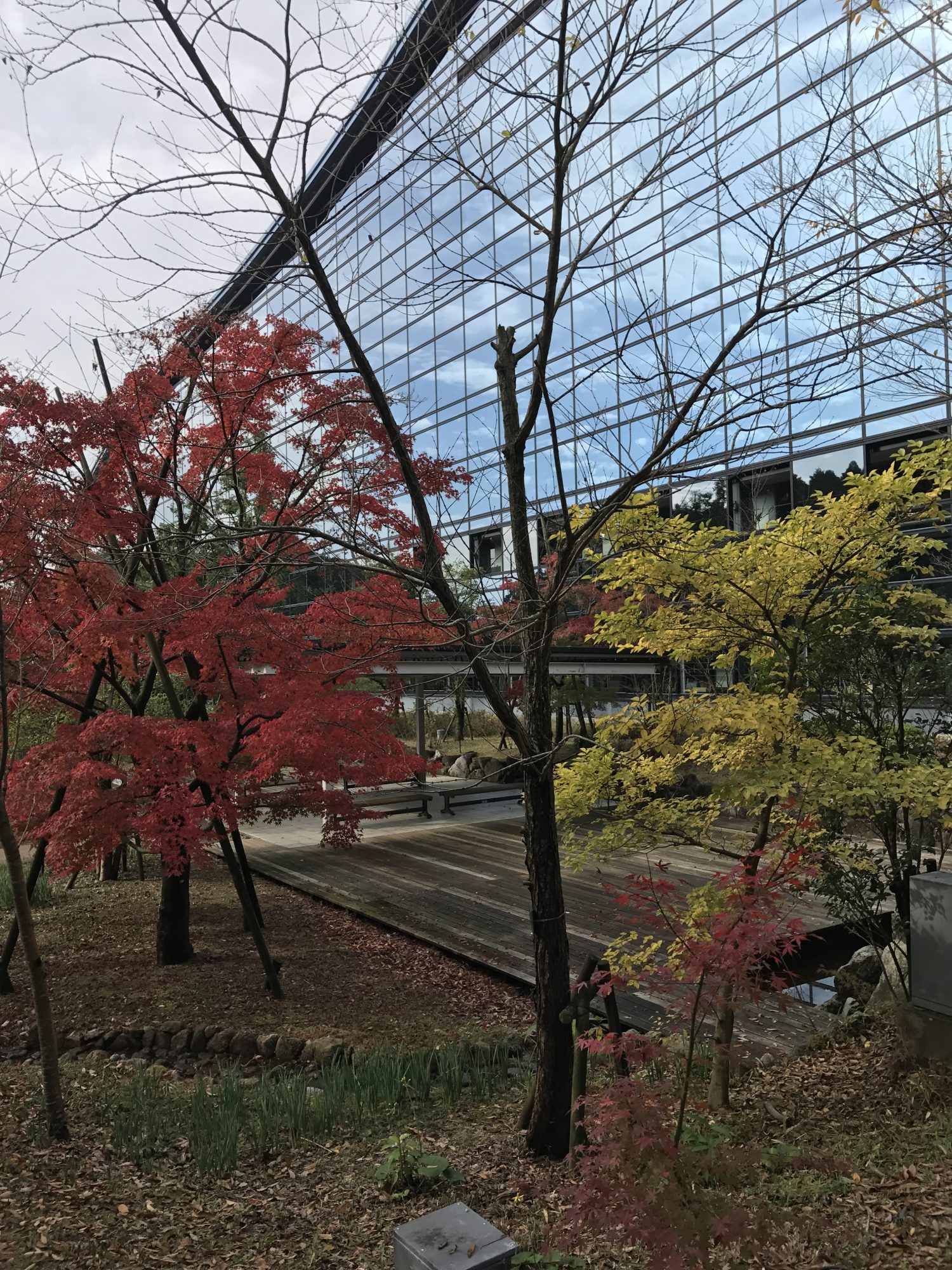 特別展 京都高山寺と明恵上人 鳥獣戯画