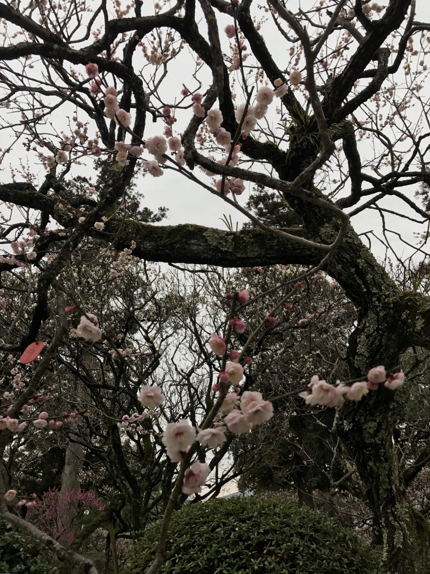 あなたの仕事について教えて