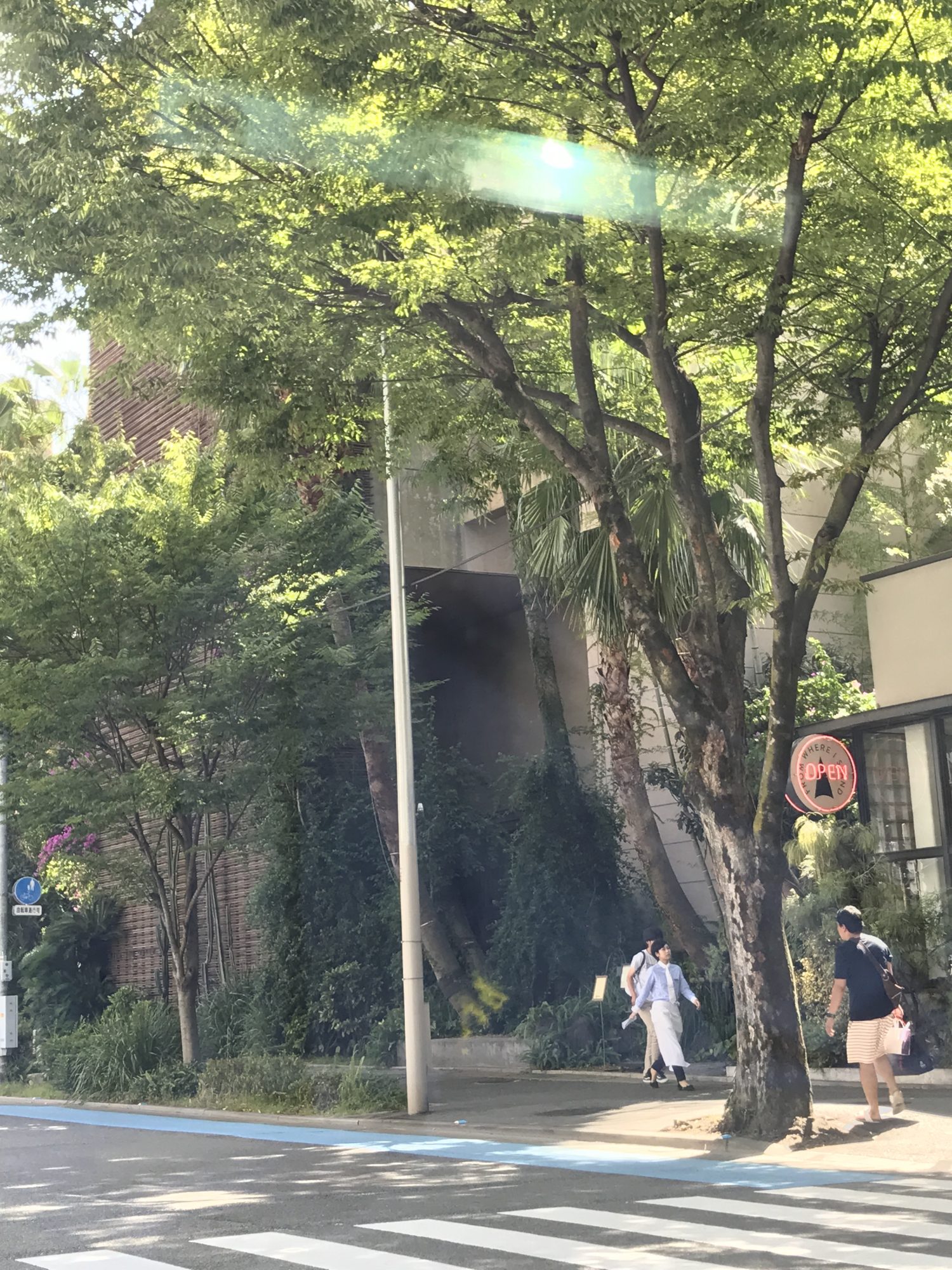 得子、ロードスターを買いに行く その6