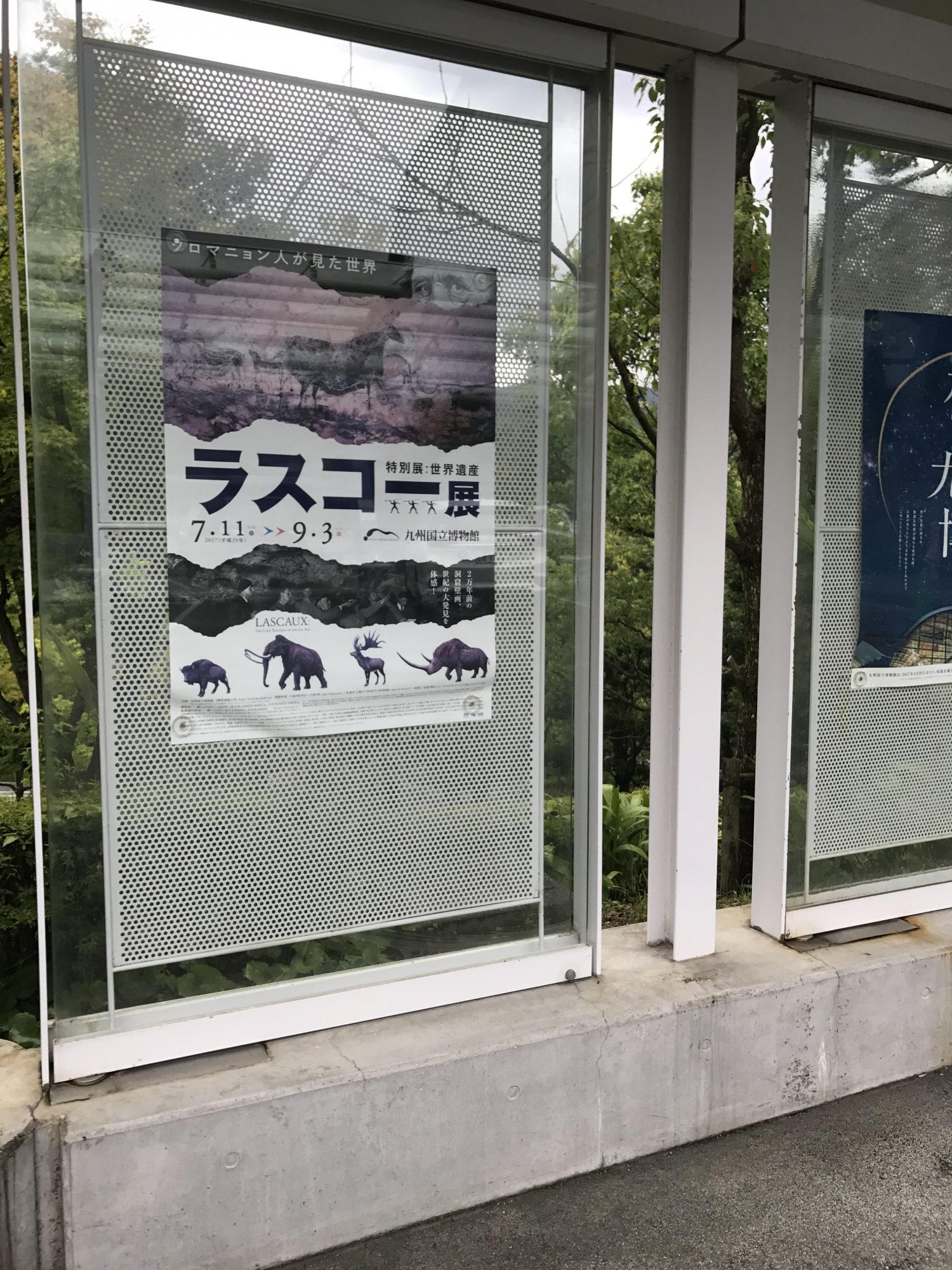 ラスコーの壁画を福岡で見る~ラスコー展