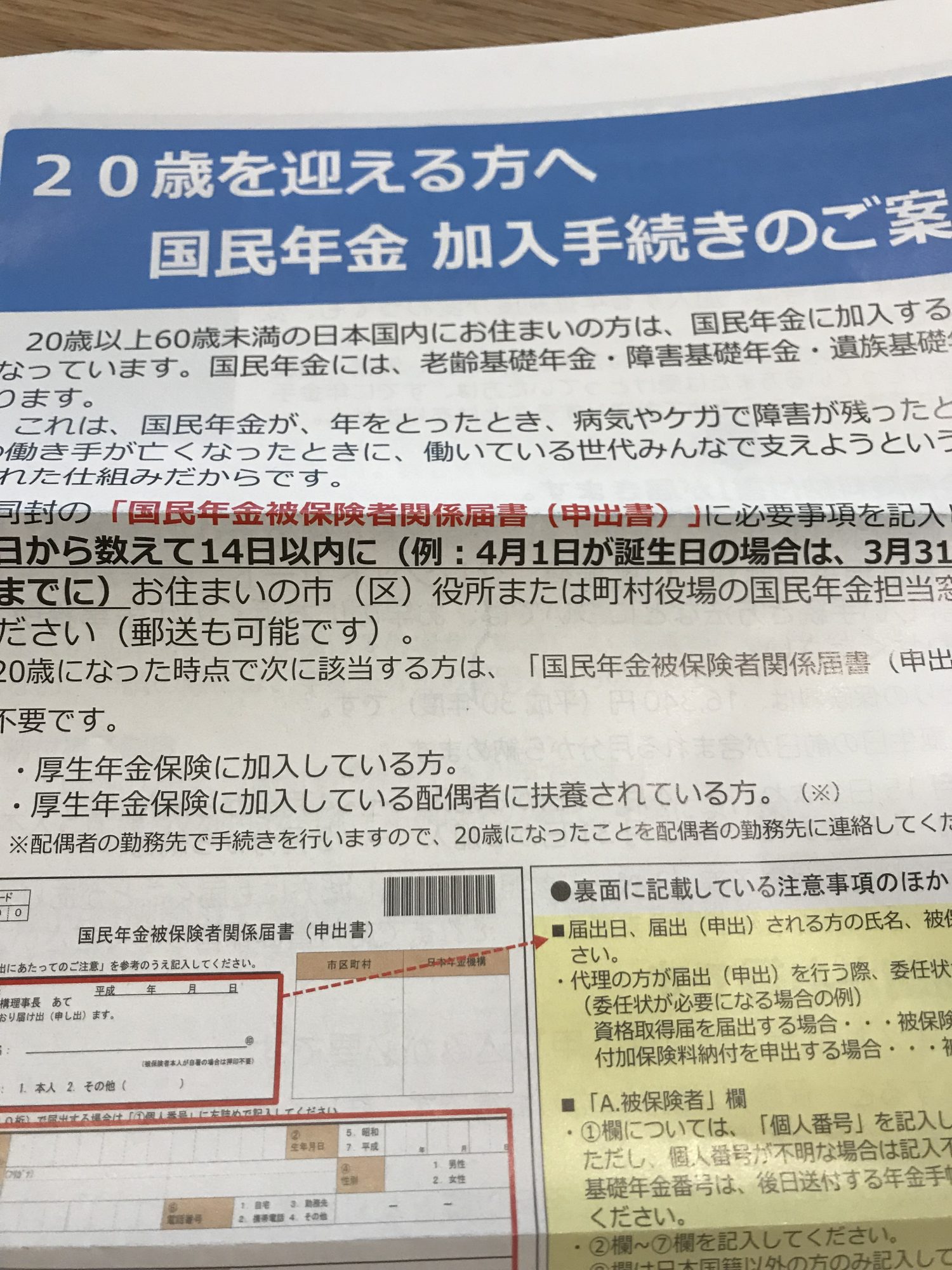 息子が20歳になるということ 国民年金加入のお知らせ