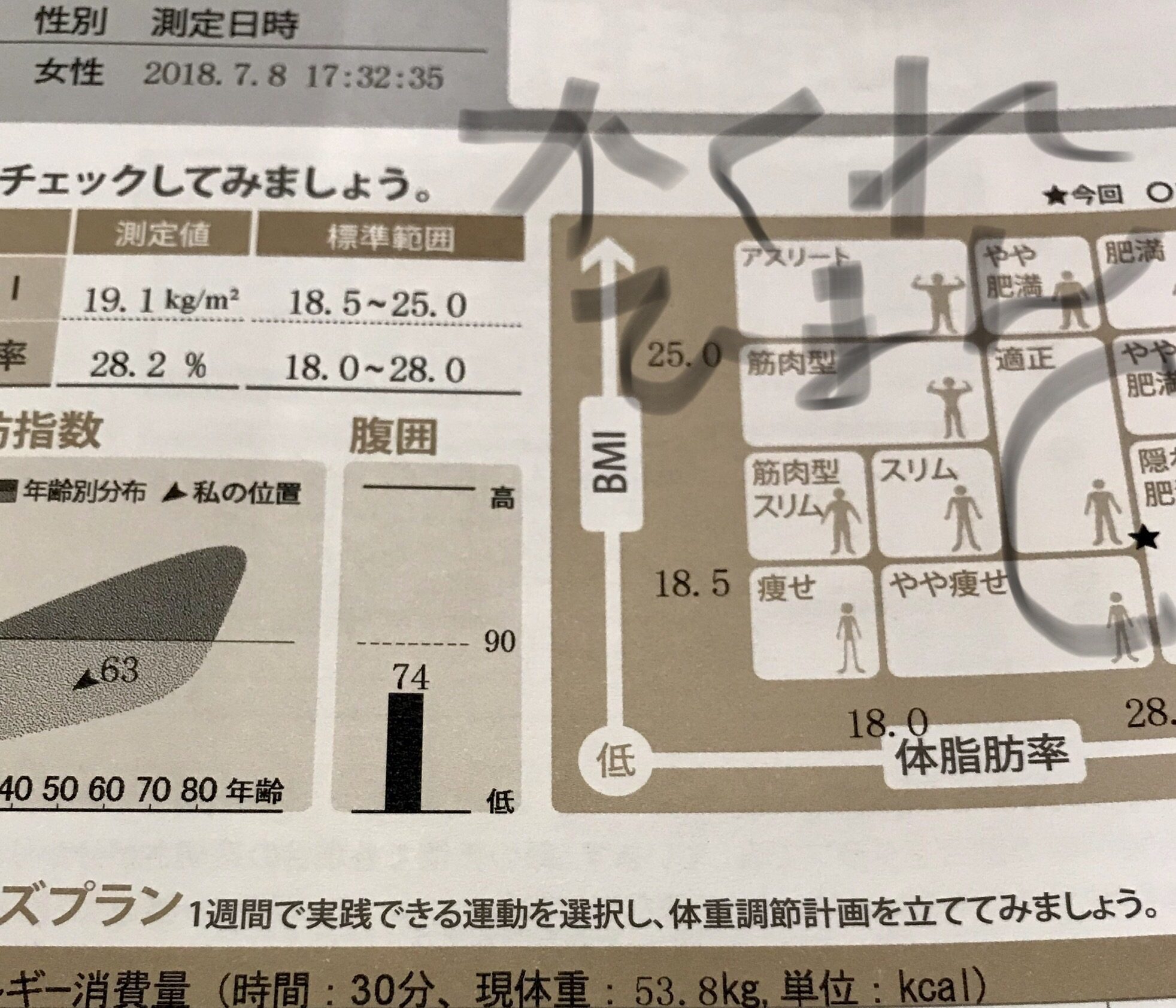 体脂肪率28.2%から24.6%へ減った